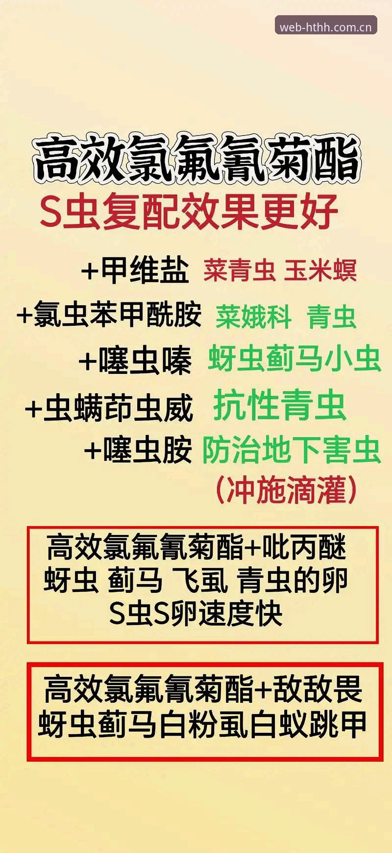 HTH体育官网登录使用完整指南：老用户分享的高效操作技巧